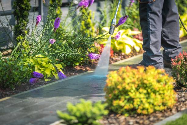 Best Building Exterior Pressure Washing in Woodbine, IA