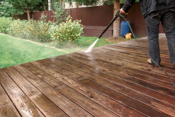 Best Soft Washing for Delicate Surfaces in Woodbine, IA