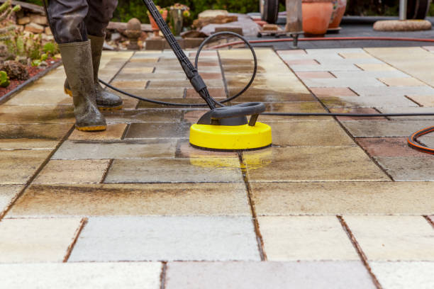 Best Fence Cleaning and Maintenance in Woodbine, IA