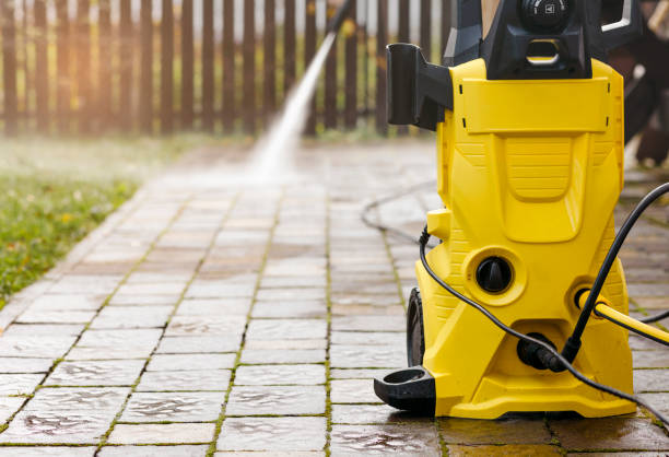Best Roof Cleaning and Mildew Removal in Woodbine, IA
